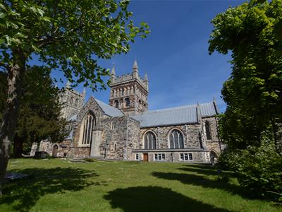 Picture 8